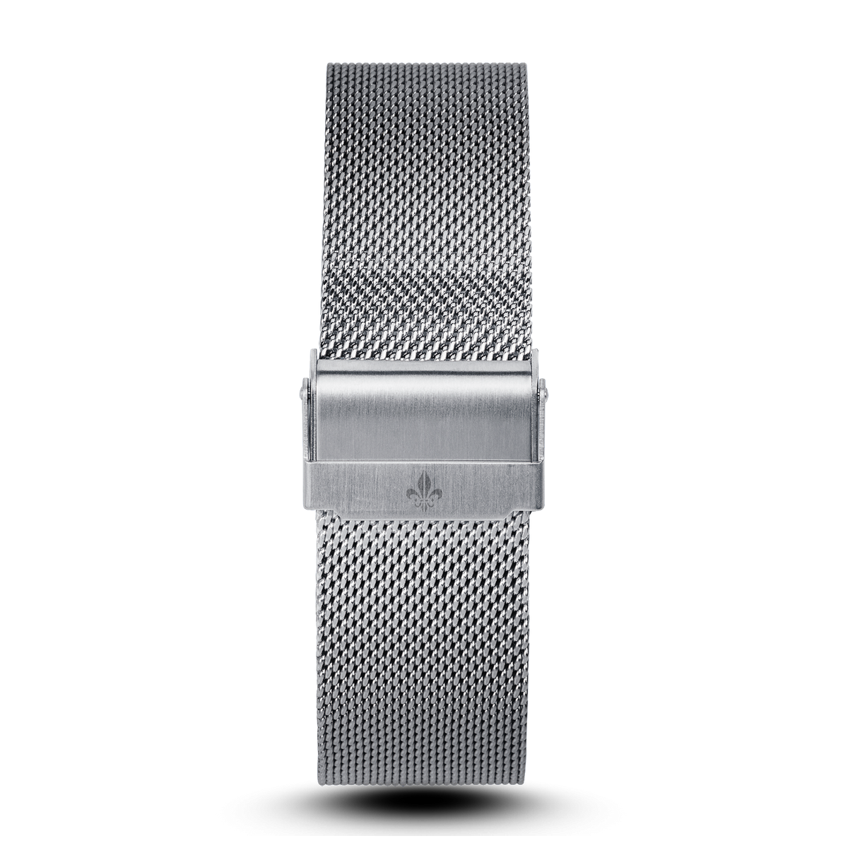 The Avalon Silver + Silver Mesh Strap