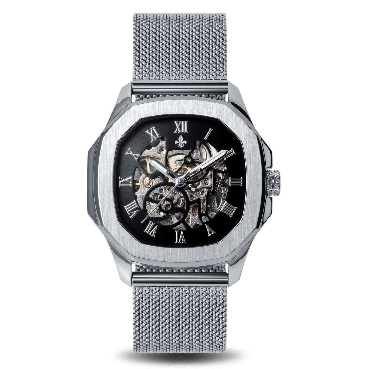 The Avalon Silver + Silver Mesh Strap